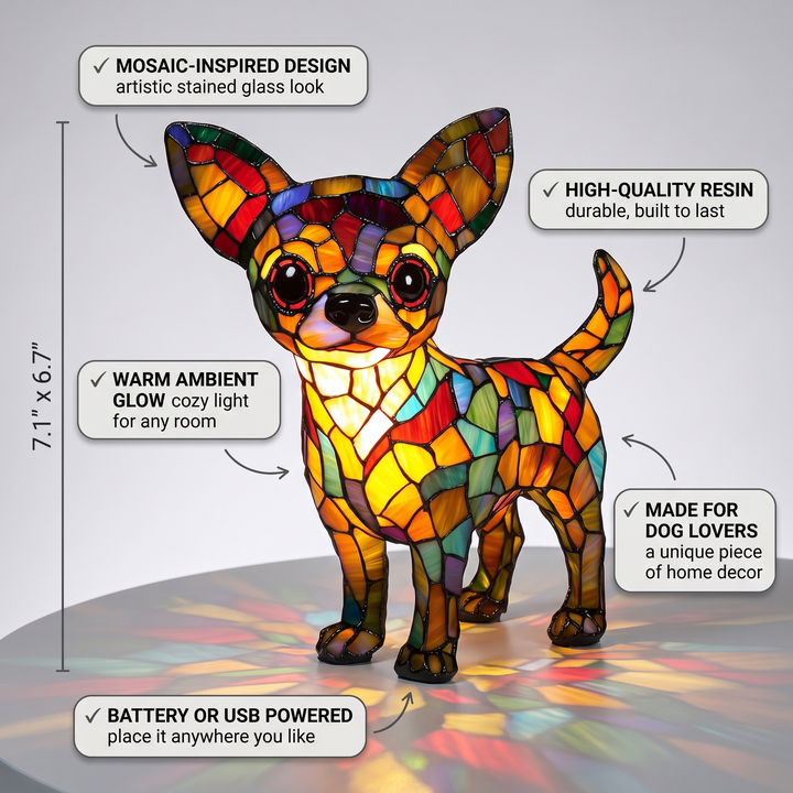 Life with a Chihuahua